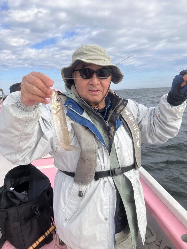 キス(シロギス)