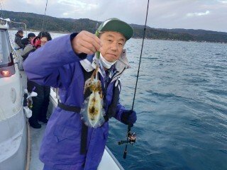 アオリ(アオリイカ)