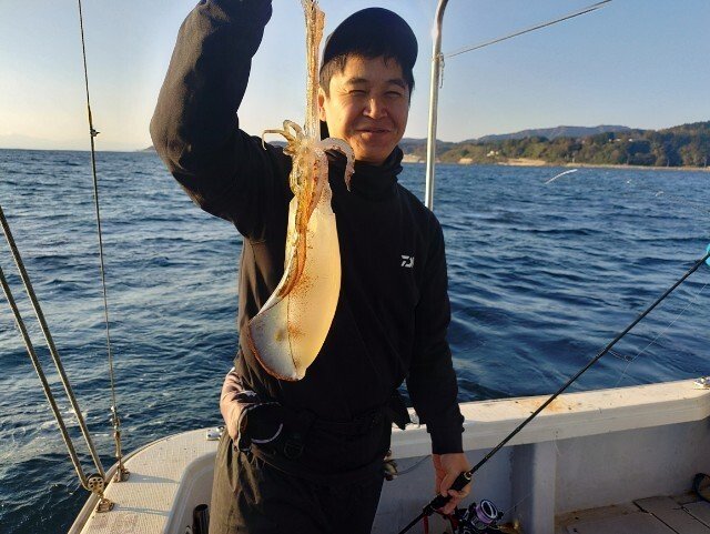 アオリ(アオリイカ)