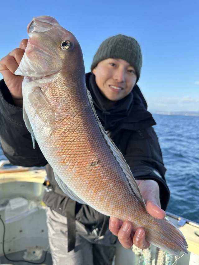 アマダイ(アカアマダイ)