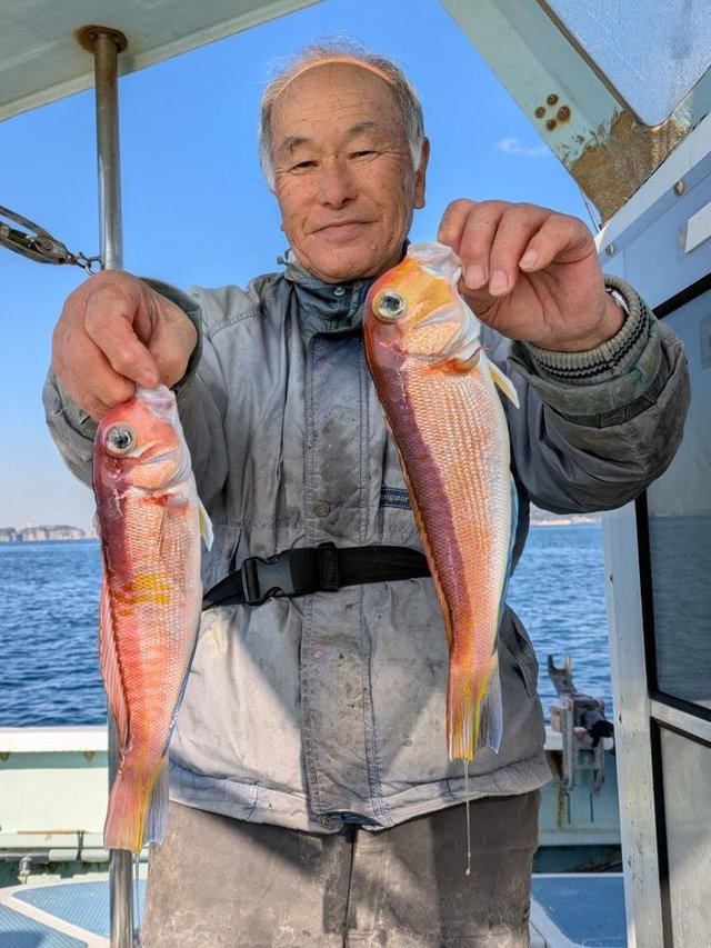 アマダイ(アカアマダイ)