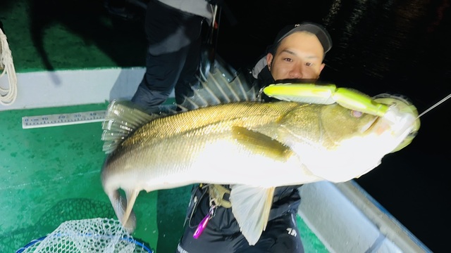 シーバス(スズキ)