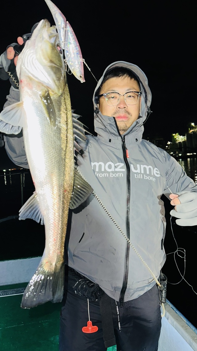 シーバス(スズキ)