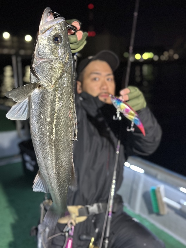 シーバス(スズキ)