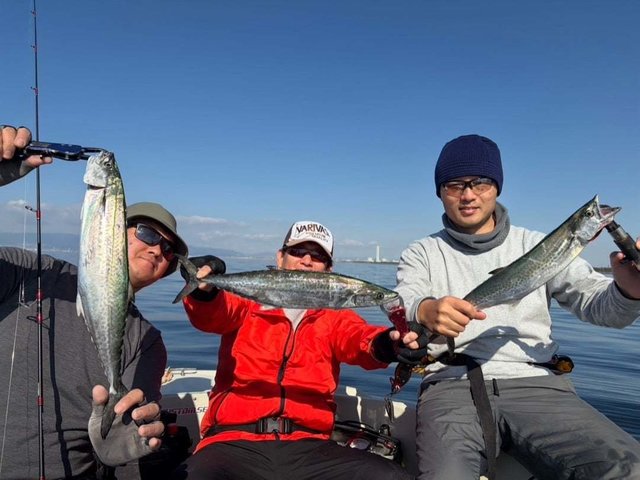 ハマチ(ブリ)・サゴシ(サワラ)