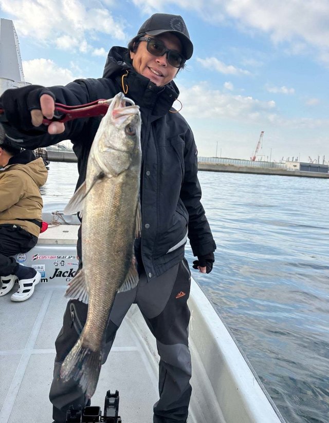 シーバス(スズキ)