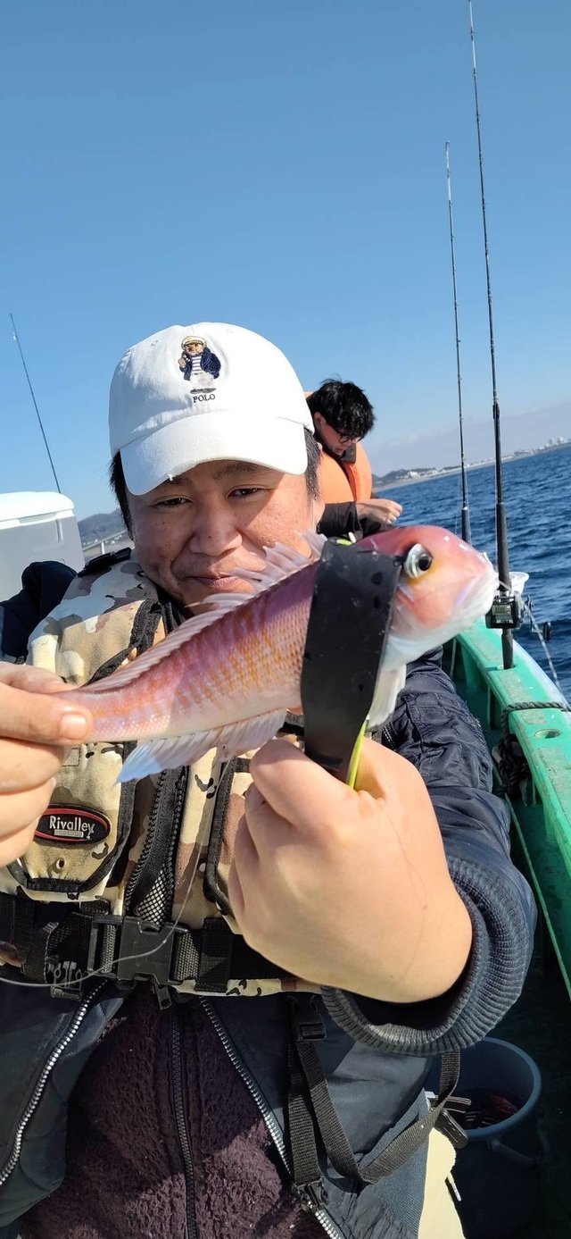 イトヨリ(イトヨリダイ)