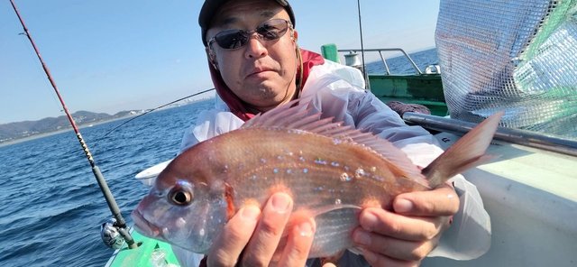 ハナダイ(チダイ)