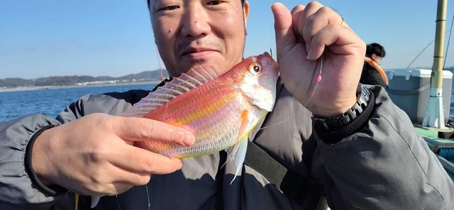 イトヨリ(イトヨリダイ)