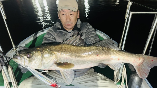 シーバス(スズキ)