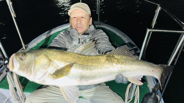 シーバス(スズキ)