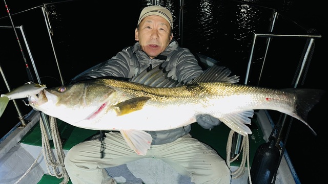 シーバス(スズキ)