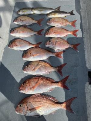 マダイ・イサキ