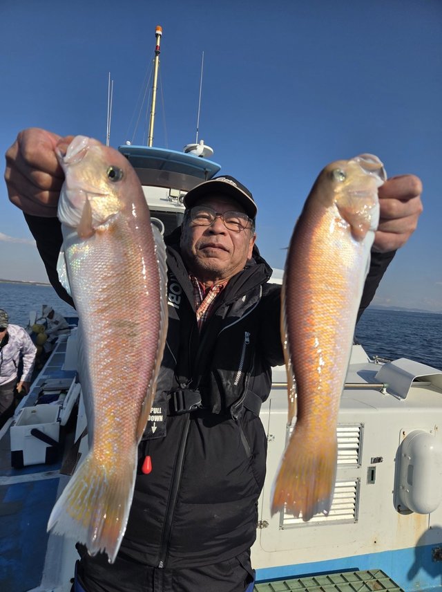 アマダイ(アカアマダイ)・シロアマダイ