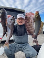 マハタ・イサキ・メダイ