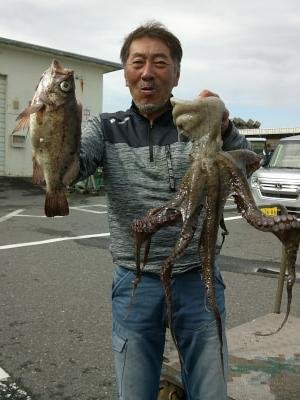 メバル・マダコ