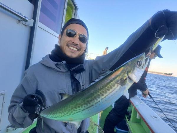 サゴシ(サワラ)