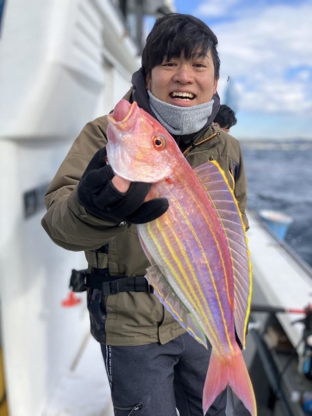 イトヨリ(イトヨリダイ)