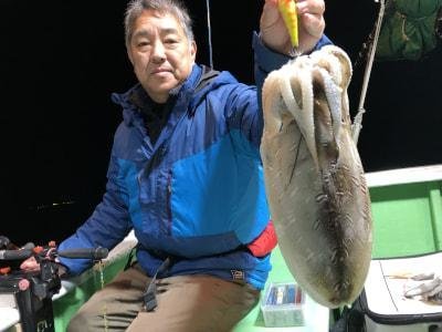 モンゴウイカ(カミナリイカ)