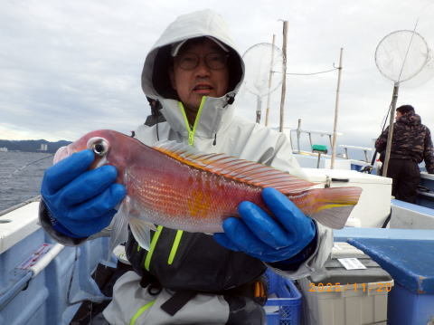 アマダイ(アカアマダイ)