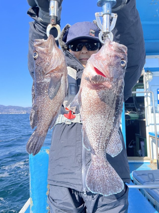 マゾイ(キツネメバル)