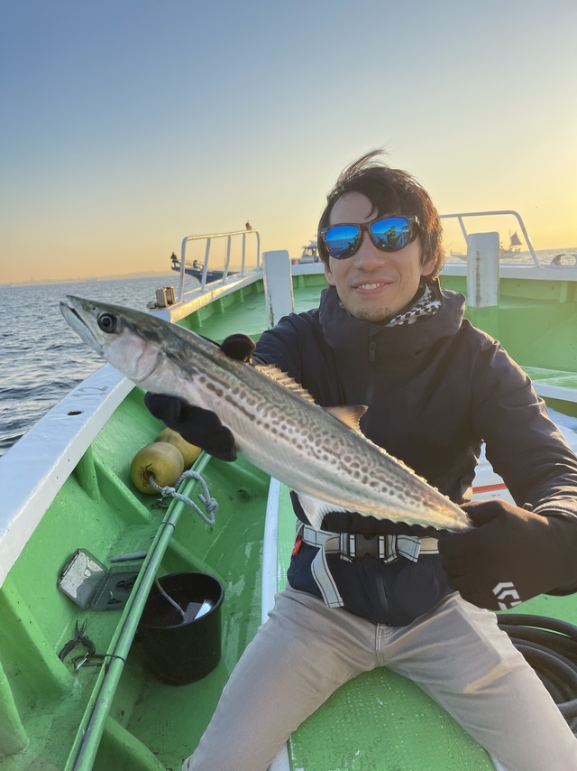 サゴシ(サワラ)