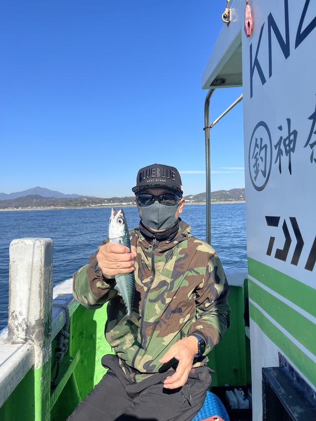 サバ(ゴマサバ)