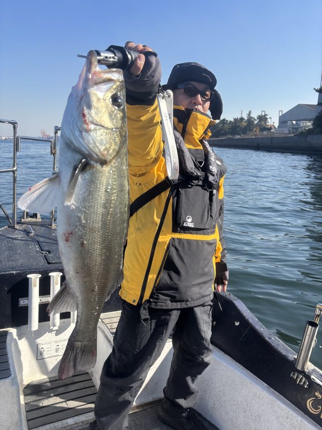 シーバス(スズキ)