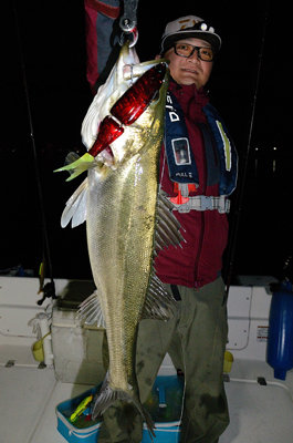 シーバス(スズキ)