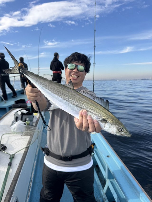 サゴシ(サワラ)