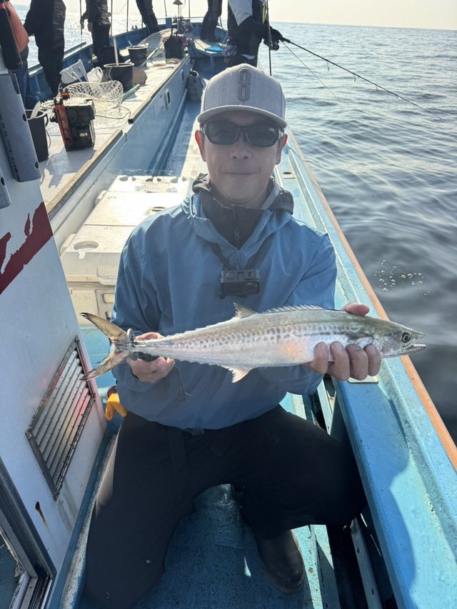 サゴシ(サワラ)