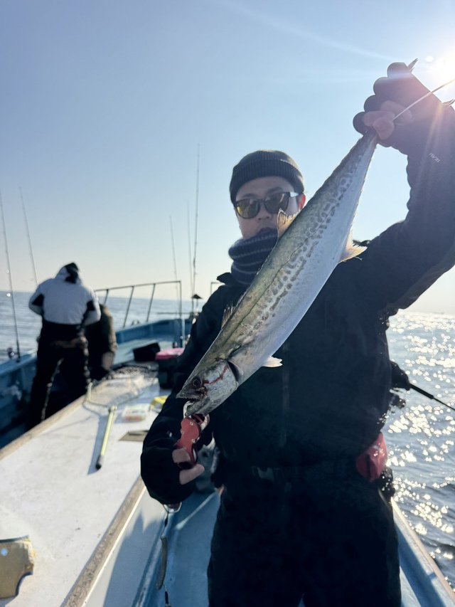 サゴシ(サワラ)