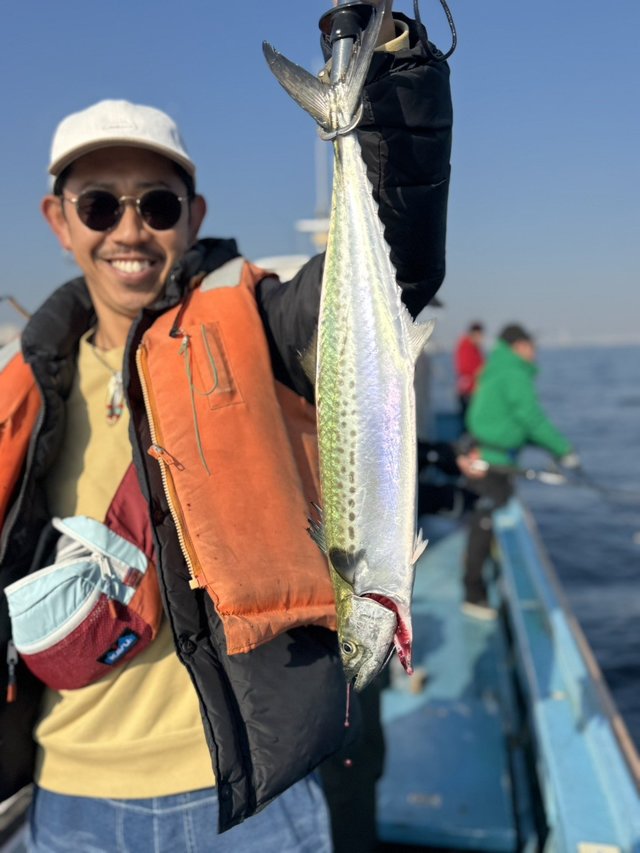 サゴシ(サワラ)