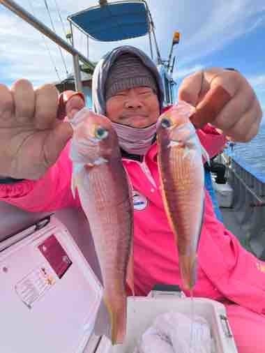 アマダイ(アカアマダイ)