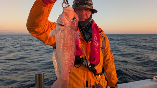 アマダイ(アカアマダイ)