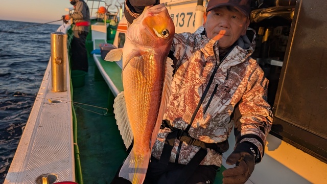 アマダイ(アカアマダイ)