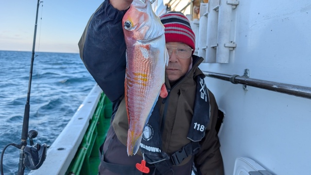 アマダイ(アカアマダイ)