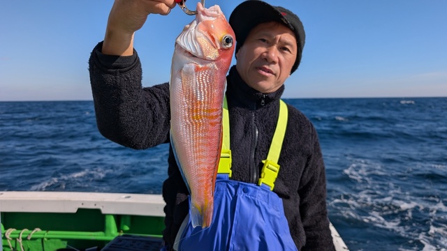 アマダイ(アカアマダイ)