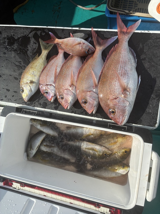 マダイ・チダイ・メイチダイ