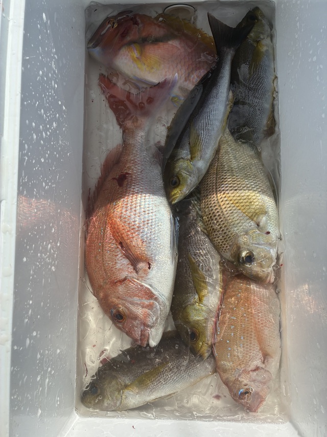 マダイ・チダイ・メイチダイ