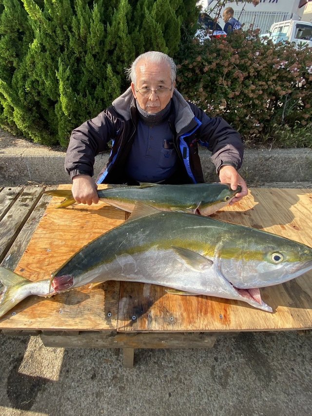 ブリ・ハマチ(ブリ)