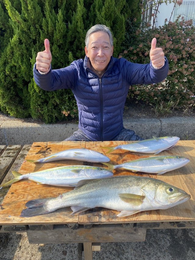 スズキ・ハマチ(ブリ)