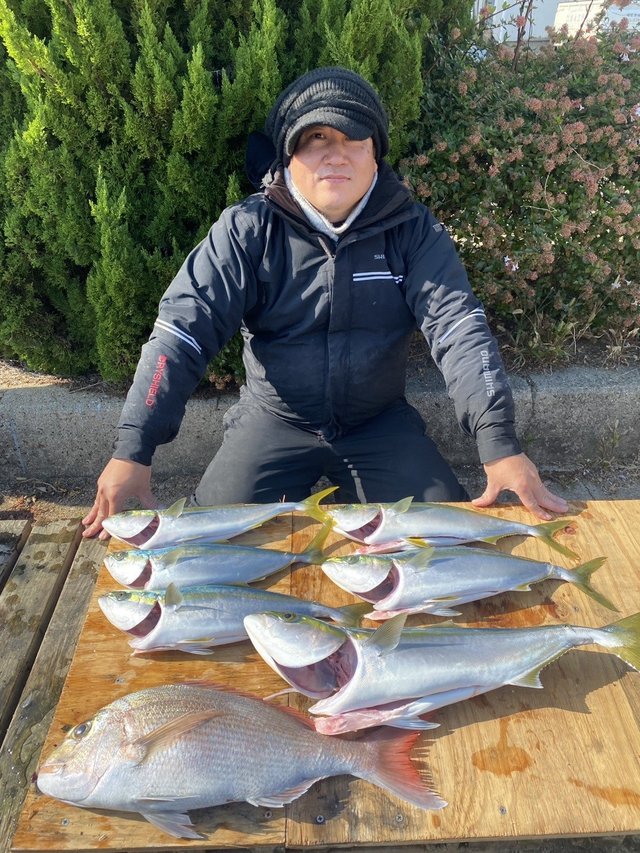 マダイ・ブリ・ハマチ(ブリ)