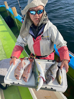 マダイ・クロダイ・イナダ(ブリ)・イサキ