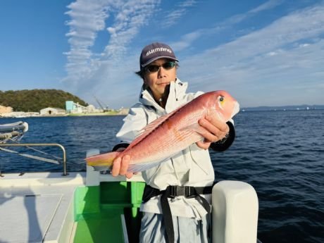 アマダイ(アカアマダイ)