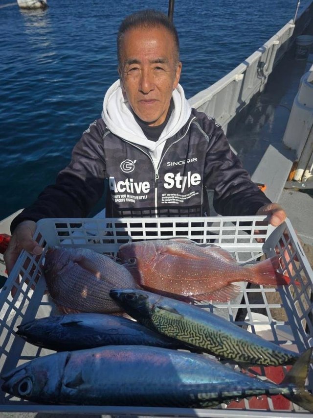 マダイ・ヒラソウダ・サバ(ゴマサバ)