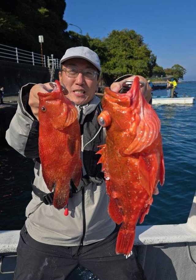 アザハタ・アカハタ