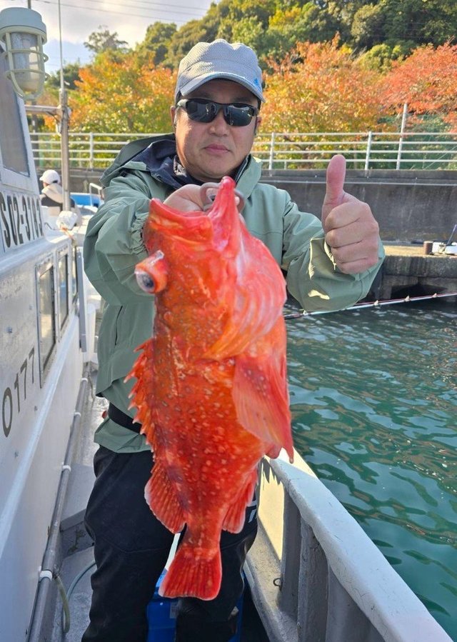 ウッカリカサゴ