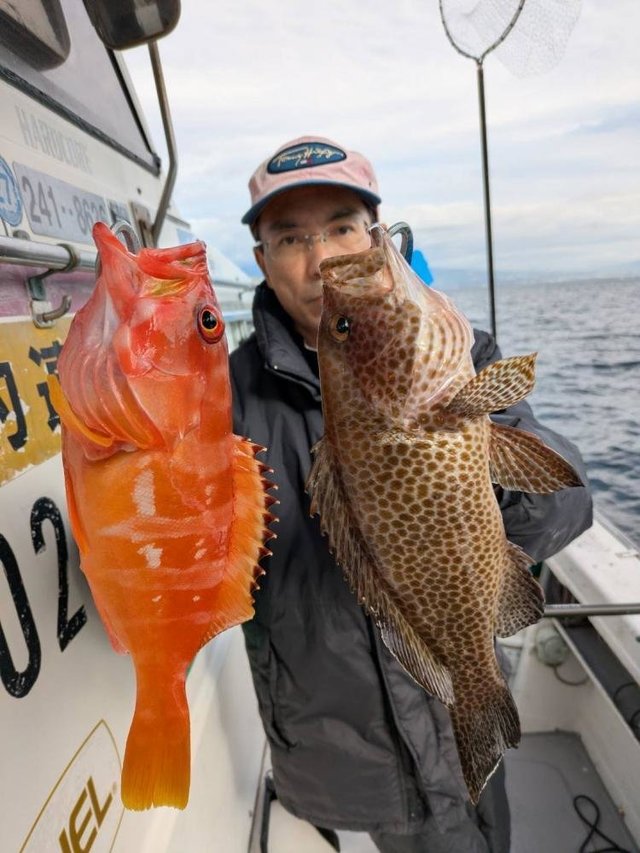 アカハタ・オオモンハタ