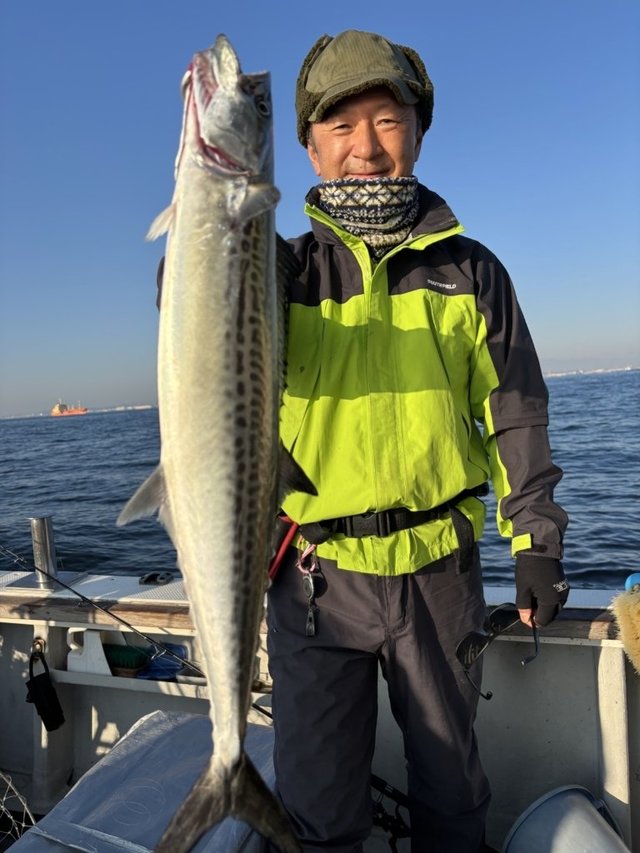 サゴシ(サワラ)